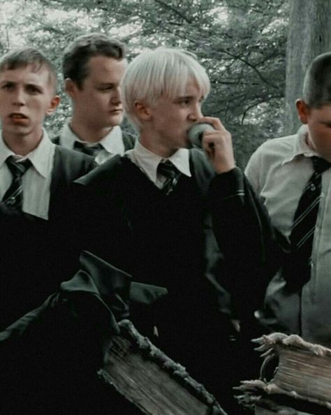 Draco Malfoy Aesthetic, The Prisoner Of Azkaban, Slytherin Aesthetic, Tom Felton, Harry Potter Art, Harry Potter Fandom, Draco Malfoy, Green Apple, Cute Photos