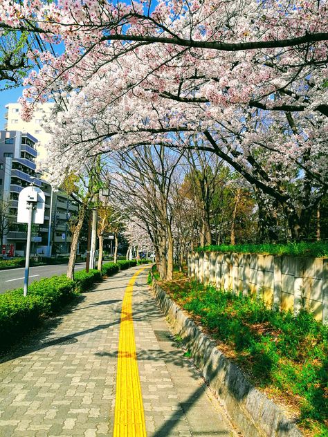 Yamazaki, Nagoya in Spring #JapanPhotos, #Photo, #Photography, #PhotographyInJapan, #Photos, #Pix, #Reddit, #RedditJapanPhotos https://www.alojapan.com/338529/yamazaki-nagoya-in-spring/ . Infrastructure Development, Nagoya Japan, Go To Japan, Japan Aesthetic, Beautiful Landscape Wallpaper, West Bengal, Nagoya, Landscape Wallpaper, Photo Photography