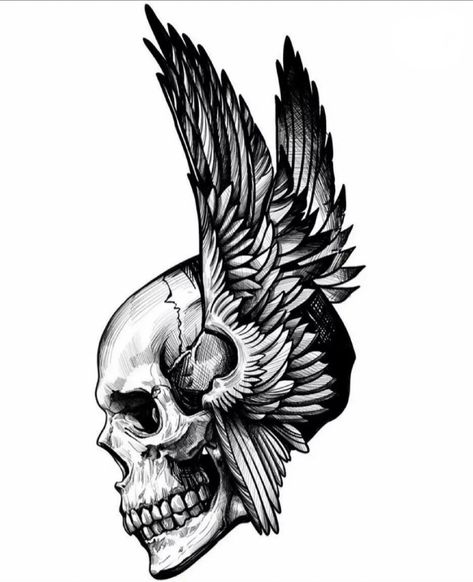 Skull With Wings Tattoo, Skull With Wings, Skull Reference, Winged Skull, Biker Art, Brush Painting, Wings Tattoo, Black Wings, Air Brush