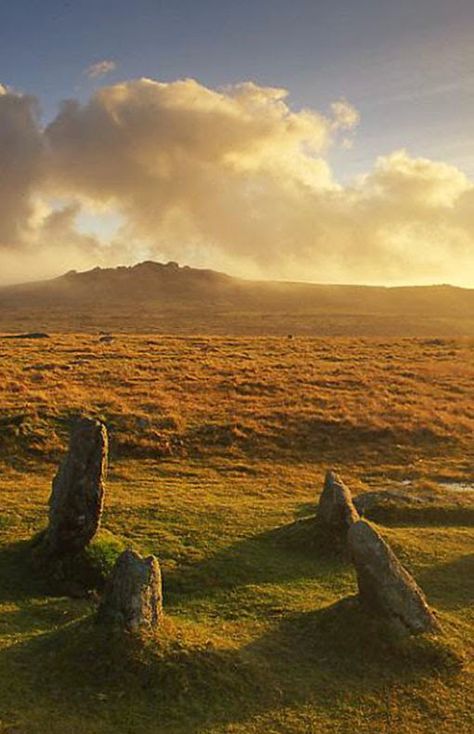 Dartmoor National Park, Best Car Insurance, South Devon, Devon And Cornwall, Devon England, Dream Places, England And Scotland, State Of Florida, Personal Injury