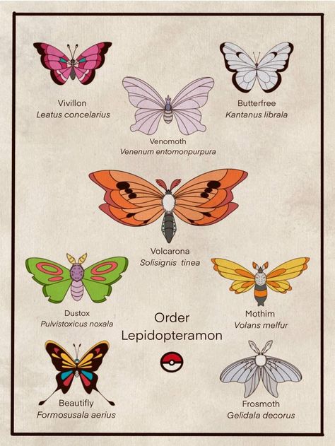 Pokemon Scrapbook, Butterfly Concept, Christmas Pokemon, Bug Type, Real Animals, Pokemon Sketch, Pokemon Tattoo, Pokemon Pokedex, Type Pokemon