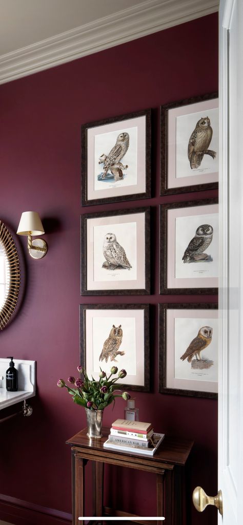 Maroon Accent Wall Living Room, Behr Maroon Paint Colors, Moody Maroon Bedroom, Burgundy And Tan Living Room, Burgundy Feature Wall Living Room, Maroon Office Walls, Burgundy Office Walls, Dark Red Kitchen Walls, Burgundy Study Room