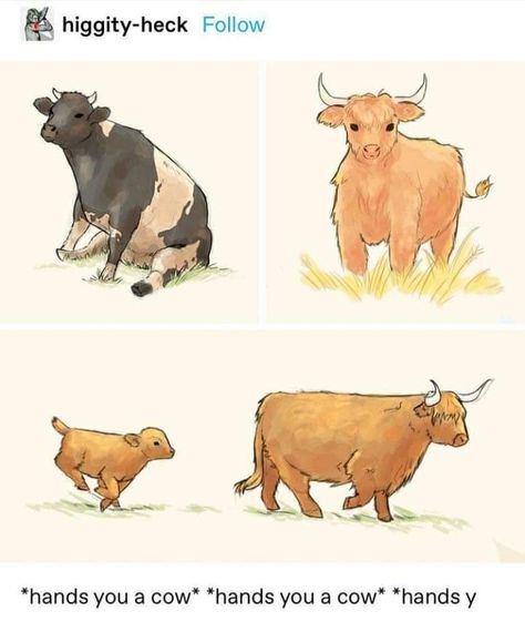 Cow Sketch, Cow Drawing, Cow Art, Character Design Animation, Animal Sketches, Cute Cows, Cute Animal Drawings, Kawaii Drawings, Cool Art Drawings