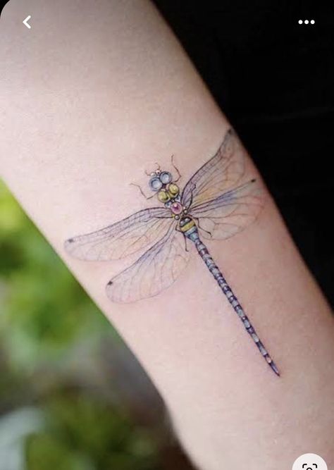 Dragonfly Tattoo Ideas, Firefly Tattoo, Small Dragonfly Tattoo, Dragonfly Tattoos, Flying Tattoo, Dragonfly Tattoo Design, Tasteful Tattoos, Inspiration Tattoos, Tatuaje A Color