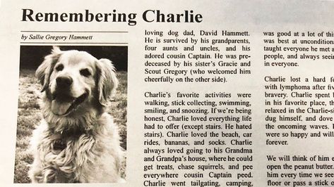 Dog's Heartfelt Obituary Goes Viral: 'He Was Best At Unconditional Love' | HuffPost Charlie Lost, First Dog, Hiking Trips, Greenville South Carolina, Good Dog, Tree Photography, Love Everyone, Dog Blog, Easy To Love