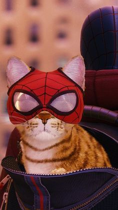 Pfps Spiderman, Cat Drawing Chibi, Spiderman Profile Pic, Chibi Cat Kawaii, Spiderman Profile, Cute Discord Pfps, Spider Man And Black Cat, Cats Goofy, Silk Spiderman