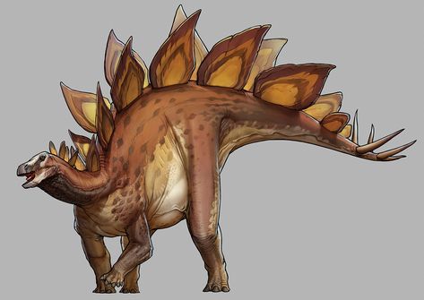 Stegosaurus, Mr Jack on ArtStation at https://www.artstation.com/artwork/lxxo8Y Dinosaur Pottery, Prehistoric Animals Dinosaurs, Prehistoric Wildlife, Universal Studio, Dinosaur Images, Dinosaur Drawing, Dinosaur Illustration, Jurassic World Dinosaurs, Ancient Animals