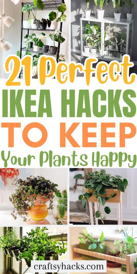 Ikea Plant Shelf Hack, Plant Shelves Ikea Hack, Ikea Plant Hacks, Plant Stands Diy Indoor, Ikea Shelves For Plants, Ikea Hacks Plants, Ikea Plant Shelf, Ikea Plant Hanger, Hanging Plants Indoor Renter Friendly