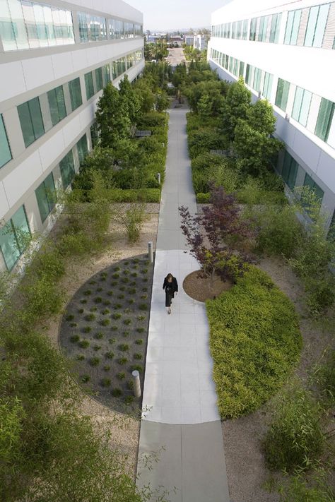 Campus Landscape, Architecture Courtyard, Student Housing, Gravel Garden, Easy Landscaping, Landscape Architecture Design, Landscaping Tips, Cool Landscapes, Landscape Projects