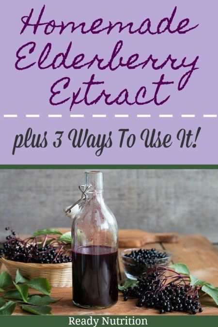 Elderberry Tincture, Elderberry Shrub, Tea Homemade, Elderberry Plant, Elderberry Tea, Elderberry Extract, Natural Medicines, Elderberry Syrup Recipe, Homemade Elderberry