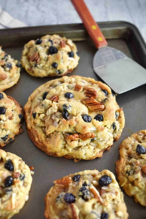 Blueberry Coconut Pecan Cookies - In Fine Taste Blueberries Recipes, Husband Food, Blueberry Cookies Recipes, Coconut Pecan Cookies, Bakery Cookies, Levain Bakery, Blueberry Cookies, Baking Inspiration, Recipes Cookies