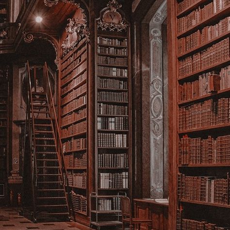 Baroque Library, Forbidden Books, Austrian National Library, Harry Ron And Hermione, Dark Acadamia, Dream Library, Beautiful Library, Old Library, Aesthetic Dark Academia