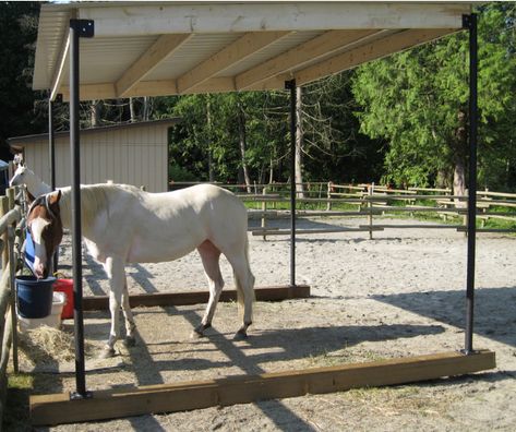 What is the best portable field shelter for horses and what are the pros and… Gazebo Horse Shelter, Portable Livestock Shelter, Portable Horse Shelter, Cheap Horse Shelter Ideas Easy Diy, Horse Shade Ideas, Simple Horse Shelter, Shade For Horses, Horse Shelter Ideas Cheap, Horse Yard