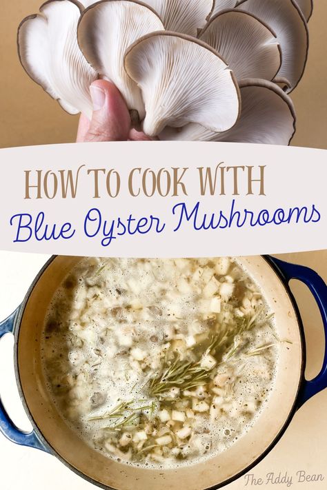 If you are wondering, "What can I do with Oyster Mushrooms", this article is for you. No longer will you feel intimidated by these fantastic fungi. Blue Oyster Mushroom Recipe, Blue Oyster Mushrooms Recipes, Oyster Mushrooms Recipes, Blue Oyster Mushrooms, Oyster Mushroom Recipe, Fantastic Fungi, Mushrooms Recipes, Mushroom Recipe, Oyster Mushroom