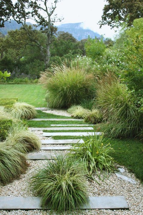 Garden Designer Visit: A Study in Green by Franchesca Watson Perennial Grasses, Front Garden Design, Grasses Landscaping, Australian Garden, Coastal Gardens, Grasses Garden, Have Inspiration, Native Garden, Garden Pathway