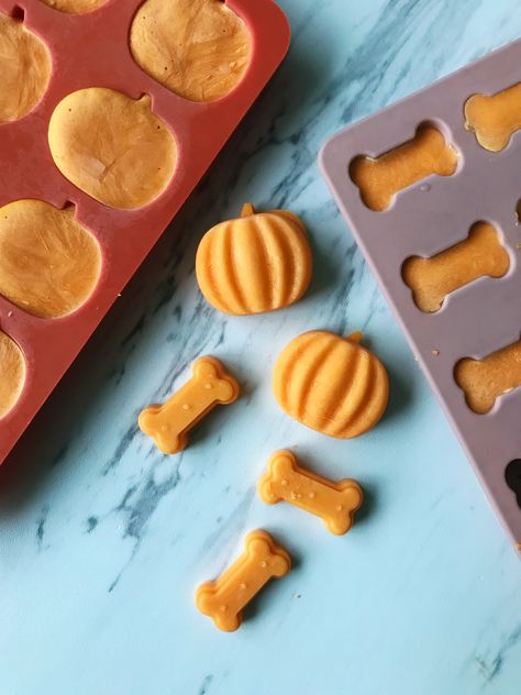 Puppy Treats With Pumpkin, Gluten Free Pumpkin Dog Treats, Puppy Treats Homemade Easy Pumpkin, Dog Treats Homemade Mold, Halloween Pet Treats, Pumpkin Dog Treats Easy No Flour, How To Make Pumpkin Dog Treats, Pure Pumpkin Dog Treats, Pumpkin Treats Dogs