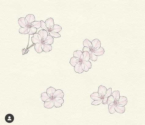 Cherry Blossom Small Tattoo, Fine Line Cherry Blossom, Fine Line Cherry Blossom Tattoo, Cherry Blossom Branch Tattoo, Cherry Blossom Outline, Blossom Drawing, Cherry Blossom Drawing, Branch Tattoo, Cherry Blossom Tattoo