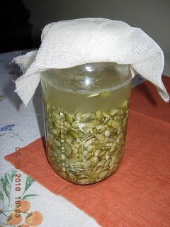 Fermenting in Utah: Pumpkin Seed Ferment Garlic Seeds, Pumpkin Seed Butter, Pumpkin Seed, Seed Butter, Fermenting, Fruit And Veg, Pumpkin Seeds, Nuts, Utah