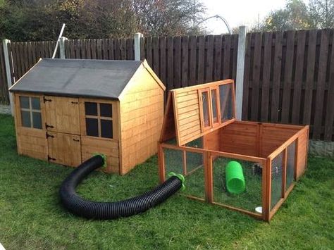 Rabbit Housing Gallery Bunny Sheds, Outdoor Rabbit Run, Rabbit Cages Outdoor, Rabbit Shed, Diy Rabbit Cage, Diy Rabbit Hutch, Outdoor Rabbit Hutch, Rabbit Enclosure, Rabbit Habitat