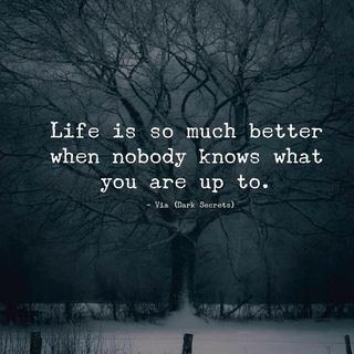 Matt Tolbert (@teachmehow2mattie) • Instagram photos and videos Cute Captions, Forest Of Dean, Dark Secrets, Quote Of The Week, Bad Relationship, Lessons Learned In Life, Quotes Deep Meaningful, Different Quotes, Best Lyrics Quotes