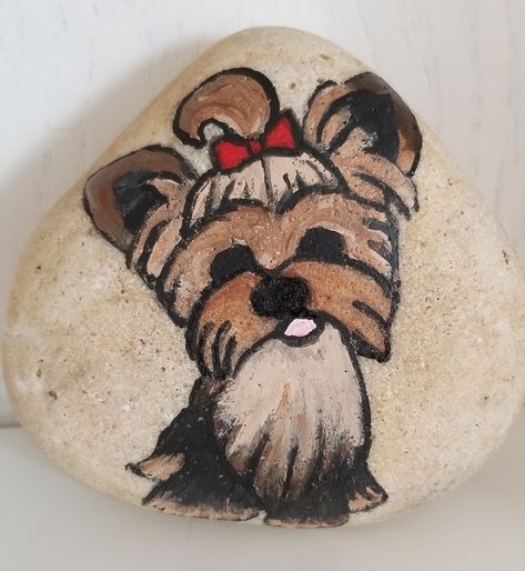 Yorkshire Painting, Owl Rocks, Funny Rock, Painted Dog, Painted Pebbles, Dog Rocks, Rock Painting Patterns, Kindness Rocks, Rock Painting Designs