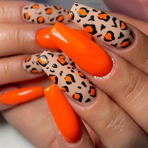 Nail Ideas Graduation, Spring Nail Sets, Safari Nails, Tiger Nails, Zebra Print Nails, Cheetah Print Nails, Animal Print Nails Art, Orange Nail Designs, Zebra Nails