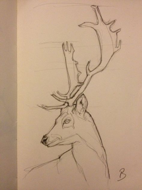 Dear Sketch, Deer Drawing Sketches, Deer Art Drawing, Reindeer Sketch, Deer Drawings, Drawing Deer, Ren Geyiği, Reindeer Drawing, Deer With Antlers