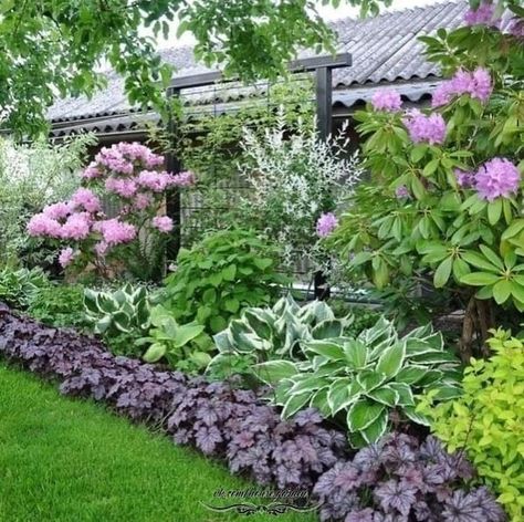 Shade Garden Plants, Hosta Gardens, Front Yard Garden Design, Recycled Garden, Lawn And Landscape, Have Inspiration, Garden Yard Ideas, Front Yard Garden, Autumn Garden