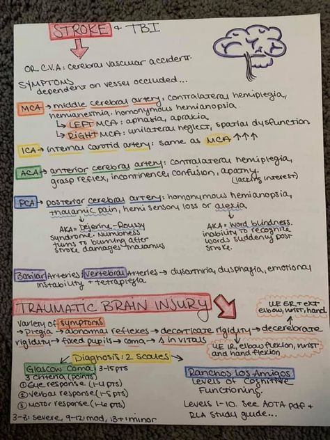 Occupational Therapy Notes Student, Occupational Therapy Nbcot Exam, Neuro Occupational Therapy, Occupational Therapy Study Notes, Physical Therapy Notes, Occupational Therapy Notes, Slp Assistant, Nbcot Exam Prep, Nbcot Exam