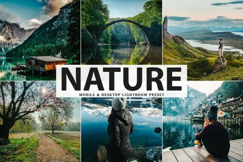 Free Nature Lightroom Preset Nature Mobile, Fall Photography Nature, Manual Photography, Free Nature, Professional Lightroom Presets, Nature And Wildlife, Free Lightroom Presets, Lightroom Filters, Lightroom Presets Portrait