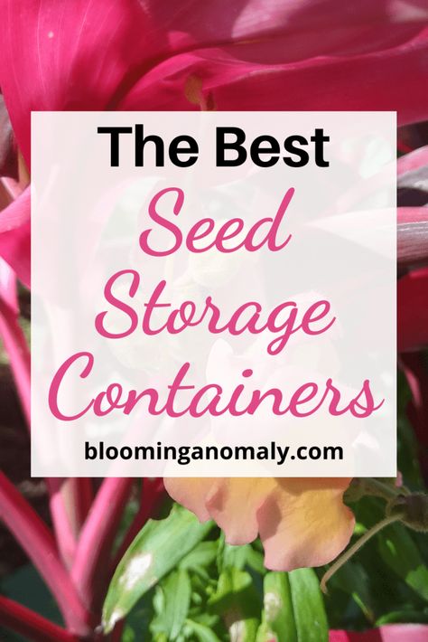 The Best Seed Storage Containers - Blooming Anomaly Not sure where to store your extra seeds? There are a variety of seed storage containers you can use, besides the paper envelopes most seeds come in. Click on the pin to read more about the variety of seed storage containers you can use to save your seeds for years! Seed Storage Containers, Seed Saving Envelopes, Starting Plants From Seeds, Seed Storage, Makeup Containers, Seed Box, List Of Flowers, Apple Seeds, Seed Saving