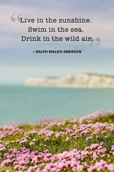 "Live in the sunshine. Swim in the sea. Drink in the wild air." Quotes About Summer, Barbie Quotes, Drinking Quotes, Thinking Quotes, Stock Quotes, Beach Quotes, Summer Quotes, Sunset Quotes, Nature Quotes