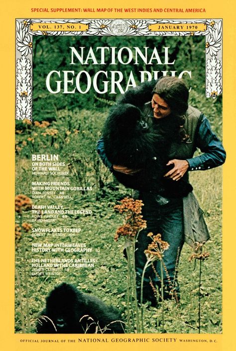 National Geographic Archives, National Geographic Cover, Central America Map, Gorillas In The Mist, Dian Fossey, National Geographic Photographers, Jane Goodall, Mountain Gorilla, America Map