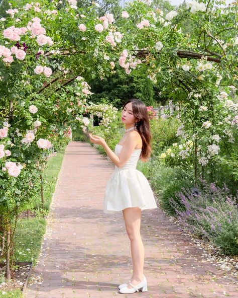 romanticizing roses 💐🌷🕊️ 🐝🏷️ soft girl aesthetic, white dress, summer outfit inspo, garden fairy core, princess aesthetic, romantic style #cottagecore #whitedress #pinterestaesthetic #cottagecoreaesthetic #coquette #coquettedollette #princesscore #softgirl #softgirlaesthetic #softgirloutfits #feminineenergy #femininestyle #girlyaesthetic #slowliving #feminineaesthetic #romanticaesthetic #cottagecorestyle #pinterestinspired #angelcore #fairycoreaesthetic #fairycore #dreamyaesthetic #romantic... Aesthetic White Dress, Pink Cottagecore, Soft Girl Outfits, Softgirl Aesthetic, Fairycore Aesthetic, Princess Core, Soft Girl Aesthetic, Cottagecore Style, Aesthetic White