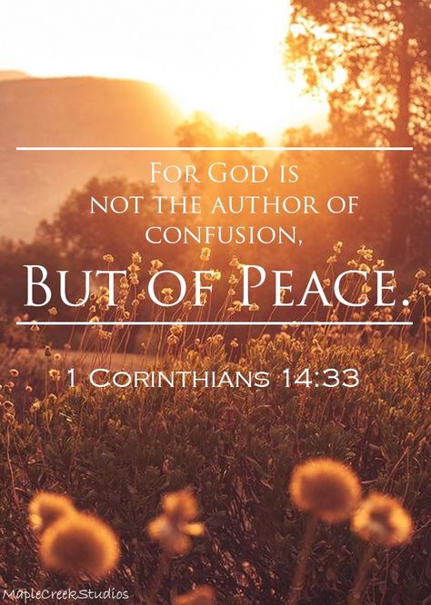 For God is not the author of confusion, but of peace. || Corinthians 14:33 || - Background image does not belong to me. - MapleCreekStudios Confusion Is Not From God, Scripture God Is In Control, Confusion Quotes, Finding Peace In God, God Is Not The Author Of Confusion, God Is Not A God Of Confusion, If Its From God It Comes With Peace, Don’t Let The Behavior Of Others Destroy Your Inner Peace, Bible Prayers