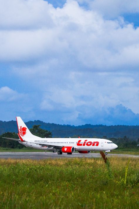 Pesawat Lion Air, Lion Air, Thai Airways, Airplane Wallpaper, Lion, Quick Saves, Instagram