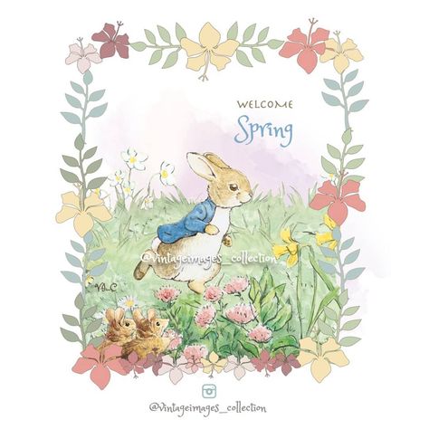 Peter Rabbit Easter, Beatrix Potter Illustrations, Flopsy Bunny, Peter Rabbit And Friends, Earth Baby, Benjamin Bunny, Easter Quotes, Rabbit Easter, Sarah Kay