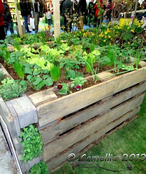 ideas pallets raised garden beds (14) #raisedbedspallets Euro Pallet, Euro Pallets, Raised Garden Beds Diy, Veg Garden, Pallet Garden, Pallets Garden, Have Inspiration, The Secret Garden, Raised Bed