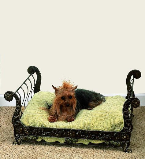 Iron Pet Sleigh Bed | Cat Iron Dog Bed, Dog Sleigh, Beds Frames, Dog Bed Frame, Diy Luxury, Luxury Pet Beds, Puppy Beds, Iron Accents, Sleigh Bed