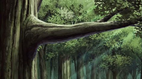 Gacha Tree Background, Gacha Forest Background, Anime Tree Background, Konohagakure Village, Kny Background, Gacha Backgrounds Outside, Tree Background, Anime Places, Episode Backgrounds