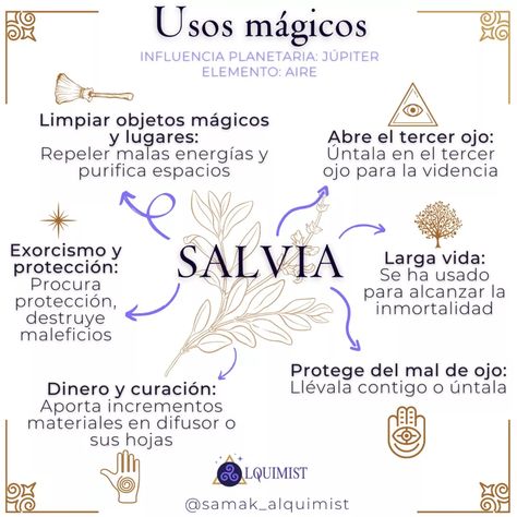 Plantas y aceites esenciales Herbal Witch, Magia Das Ervas, Witch Garden, Magic Herbs, Meditation Prayer, Magick Book, Baby Witch, Herbal Magic, Witch Spell