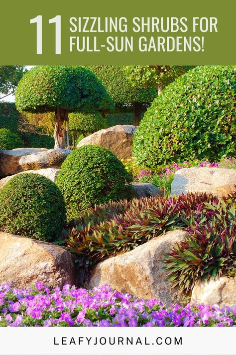 Full Sun Landscaping, Full Sun Garden, Colorful Shrubs, Full Sun Shrubs, Front Gardens, Sun Loving Plants, Sun Garden, Front Landscaping, Indoor Plant Care