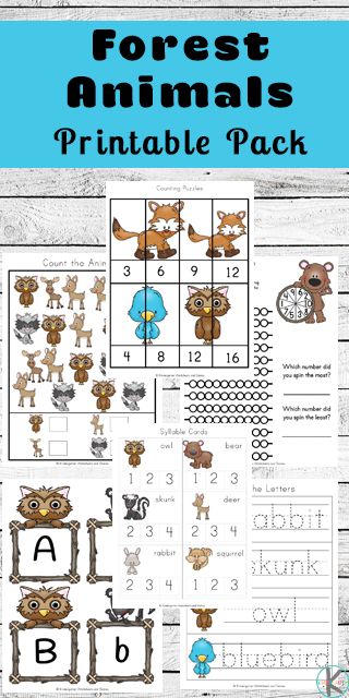 FREE Printable Forest Animals Kindergarten Worksheets are a fun way for kids to practice math like counting, skip counting, and graphing; practice alphabet letters with cards, tracing and so much more! (preschool worksheets) Preschool Forest Animal Activities, Forest Animals Preschool Activities Free Printables, Forest Animal Kindergarten, Forest School Printables, Forest Animals Books Preschool, Forest Animals Preschool, Forest Preschool, Preschool Construction, Forest Animals Theme