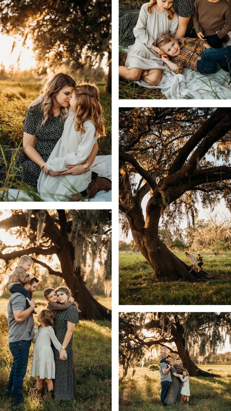 Adventure family session at sunset with mossy trees Spanish Moss Family Photos, Enchanted Forest Family Photoshoot, Oak Tree Photoshoot, Willow Tree Family Photos, Vintage Family Photoshoot Ideas, River Family Photoshoot, Forest Family Photoshoot, Sunset Family Photoshoot, Willow Tree Family