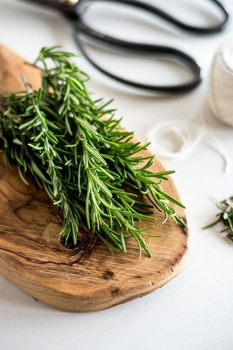 Rosemary Aesthetic, Homemade Hair Serum, Herb Photography, Rosemary Bush, Rosemary Herb, Diy Serum, Growing Rosemary, Tattoo Plant, Rosemary Plant