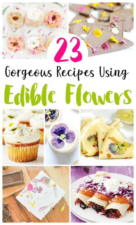 Dried edible flowers can be an addition to so many recipes! There are 23 edible flowers in this post and you'll learn which are food safe.  #edibleflowersrecipe #edibleflowerscake #edibleflowerscookie #edibleflowerslistof #edibleflowergarden #edibleflowerweddingcake #edibleflowersforcakes #edibleflowers #sff225 Dried Edible Flowers, Edible Flower Garden, Smoked Salmon Sandwich, Flower Recipes, Lemon Curd Tart, Spring Lunch, Edible Flowers Cake, Edible Flowers Recipes, Lime Tart