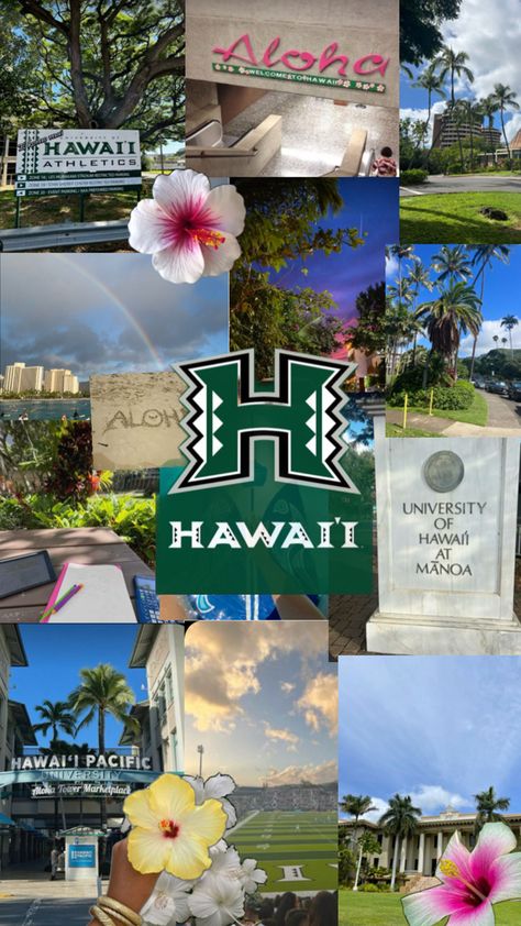 #Hawaii 𖦹 Marine Biology Degree, University Of Hawaii At Manoa, Dream University, Future School, University Of Hawaii, Dream College, Mermaid Dreams, Dream School, Aloha Hawaii