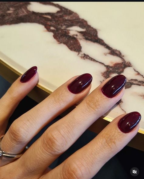 Vampy Red Nails, Wine Manicure, Caitlyn Core, Carol Core, Oxblood Nails, Nails For 2023, Red Gel Polish, Fall Almond Nails, Short Round Nails