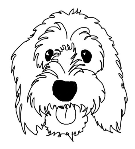 My name is Boris #dogs #cockapoo Labradoodle Art Drawings, Cavapoo Cartoon Drawing, Cockapoo Drawing Easy, Doodle Dogs Drawings, Goldendoodle Line Art, Cockapoo Line Drawing, Labradoodle Drawing Easy, Goldendoodle Drawing Easy, Labradoodle Line Drawing