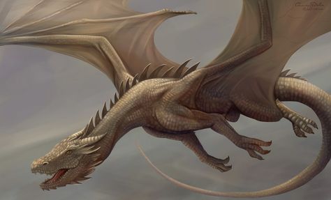 White Dragon. Brown Dragon, Mythical Creatures Fantasy, Got Dragons, Legends And Myths, Mythical Beast, Dragon Pictures, White Dragon, Dragon Artwork, Dragon Drawing